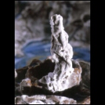 Emperor's Cascade detail 6x3 in.jpg